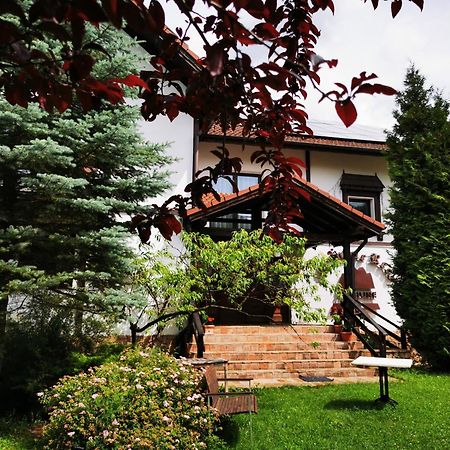 Pensiunea Muntele Rece Bran  Bagian luar foto