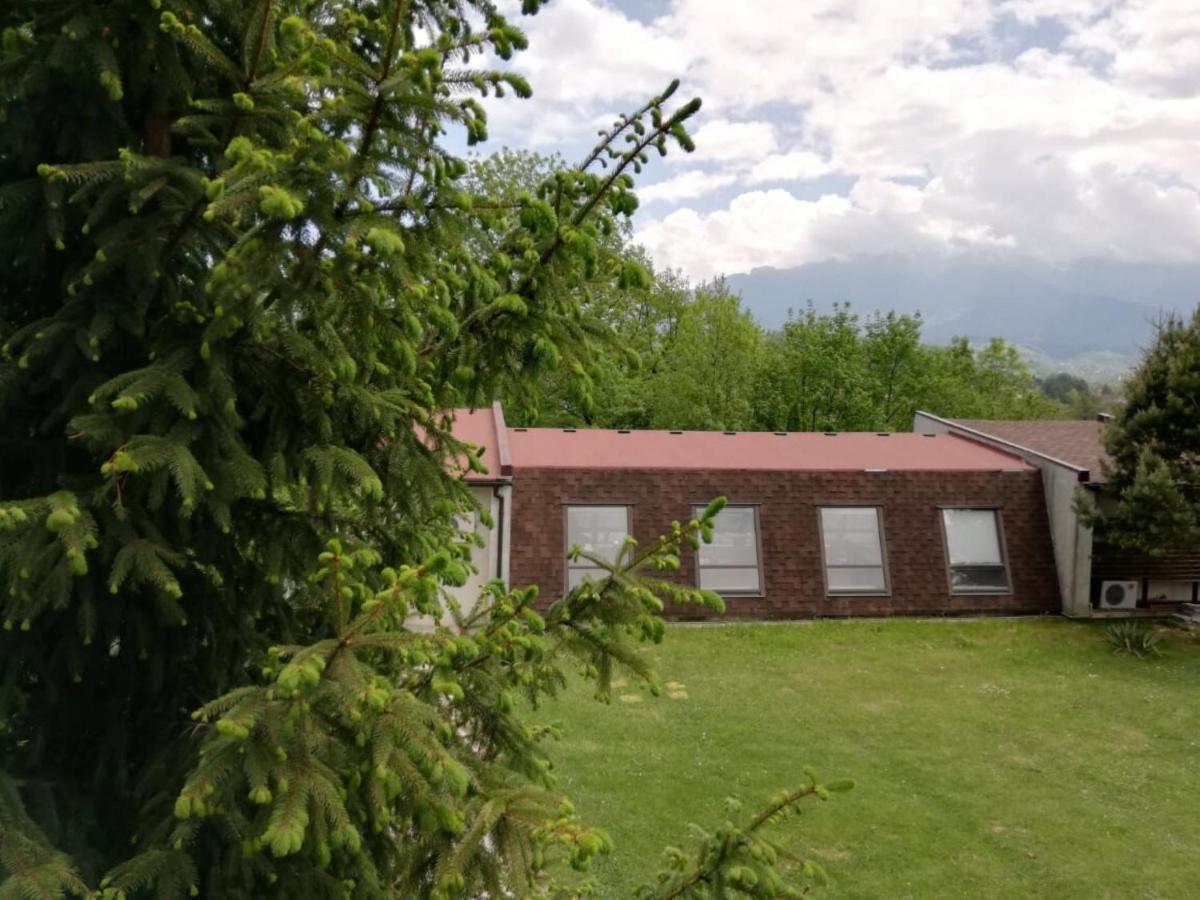 Pensiunea Muntele Rece Bran  Bagian luar foto