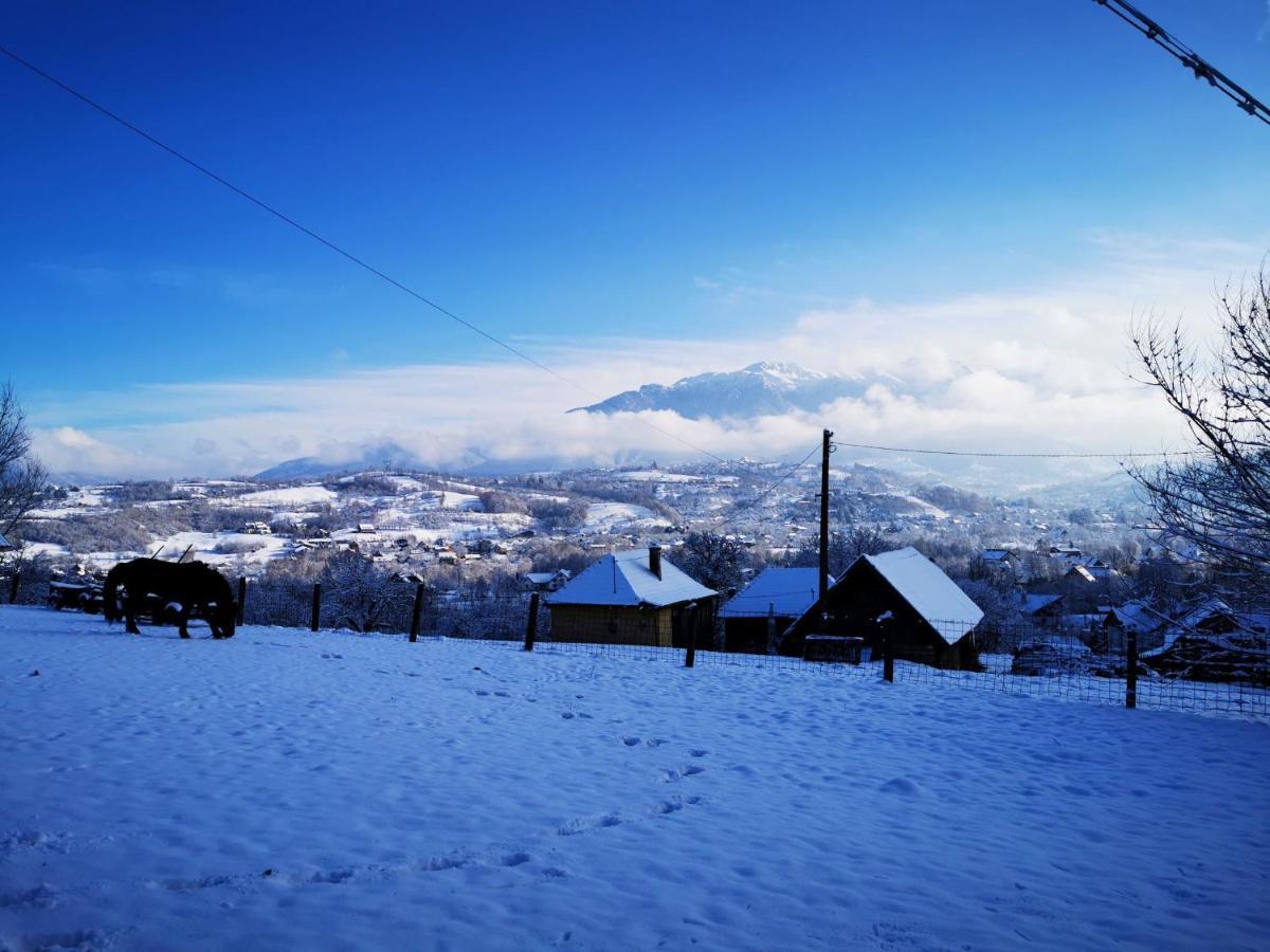 Pensiunea Muntele Rece Bran  Bagian luar foto
