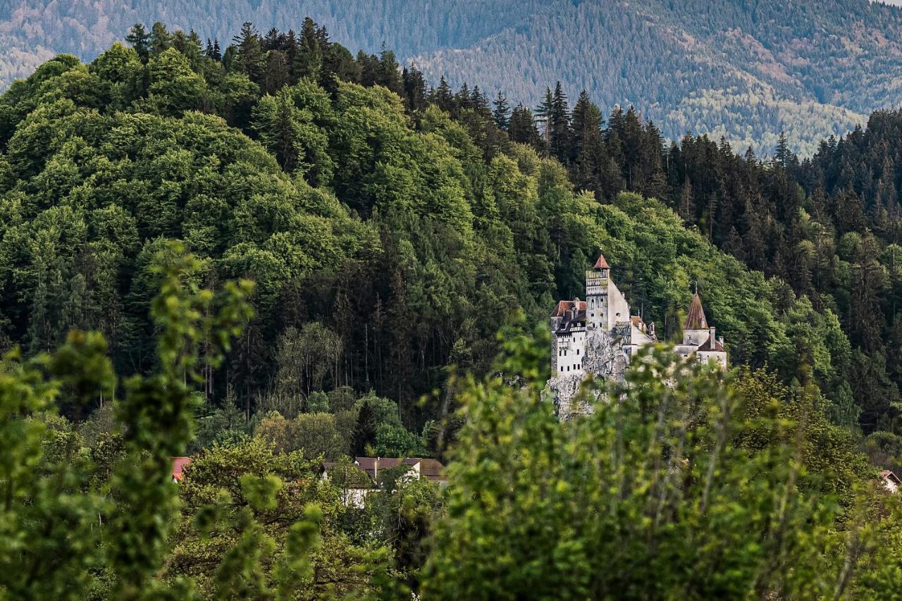 Pensiunea Muntele Rece Bran  Bagian luar foto
