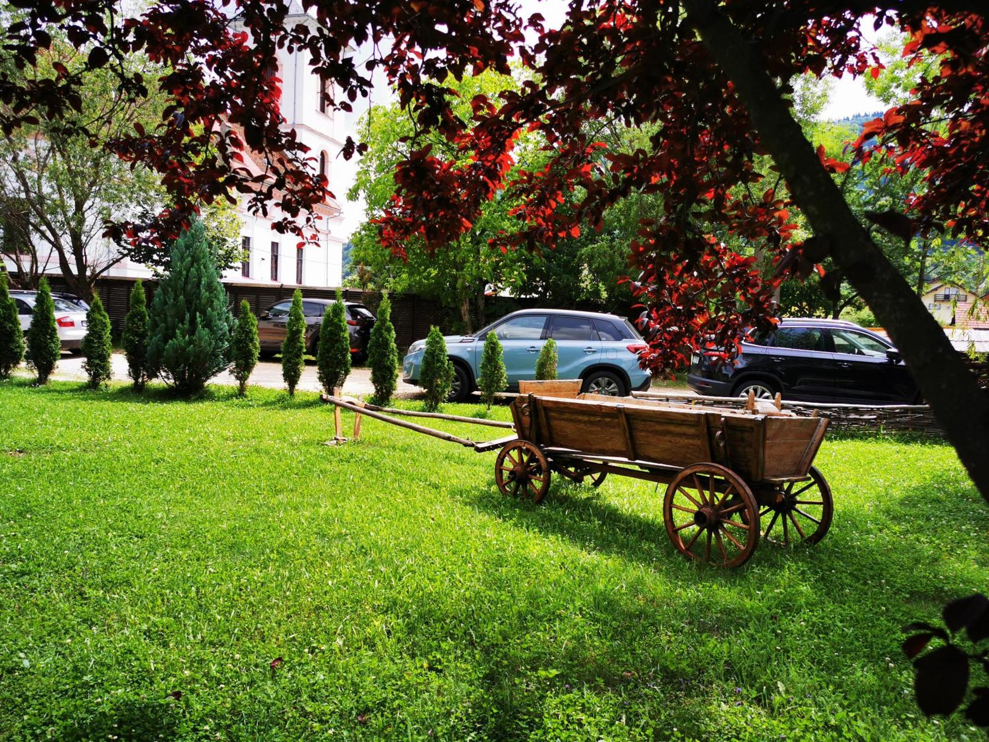 Pensiunea Muntele Rece Bran  Bagian luar foto